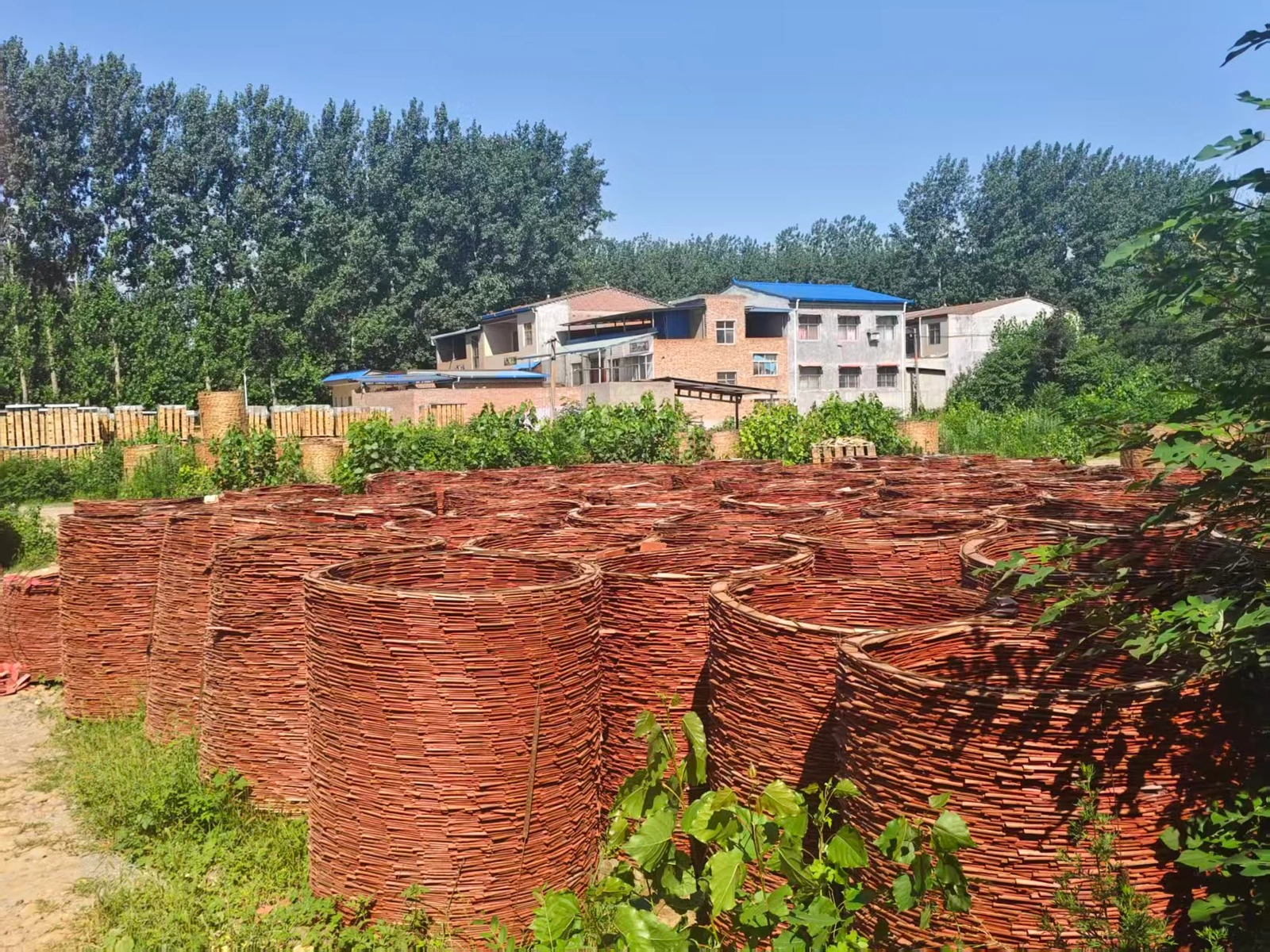 Company-archive photograph of stacked wood drying outdoors with buildings in the background